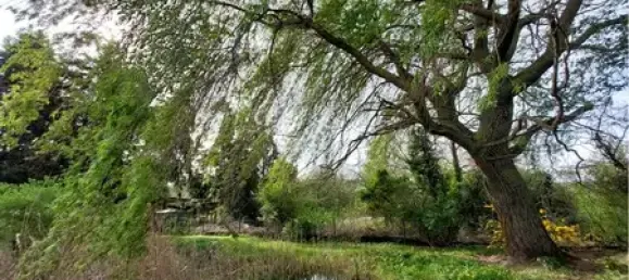 Casa T2 em Borde, Germany N.º 173958 11