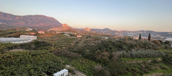 Apartment 1+1 in Mahmutlar, Turkey No. 8965 11