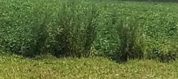 570m² Land in Monchecourt, France No. 227395 3