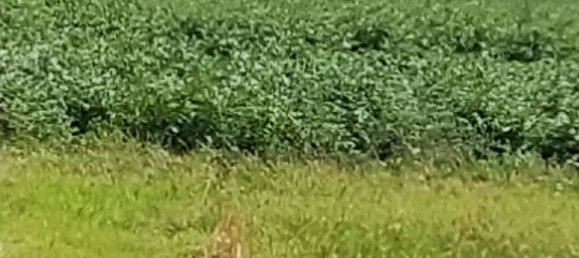 570m² Land in Monchecourt, France No. 227395 4