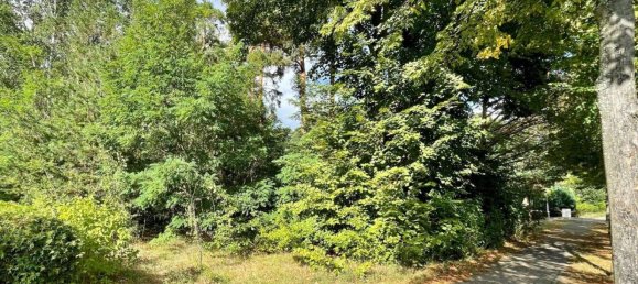 Terreno en Potsdam-Mittelmark, Germany No. 100685 4