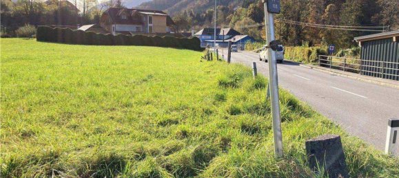 Земельный участок 2405м² в Вейер, Австрия № 113172 3