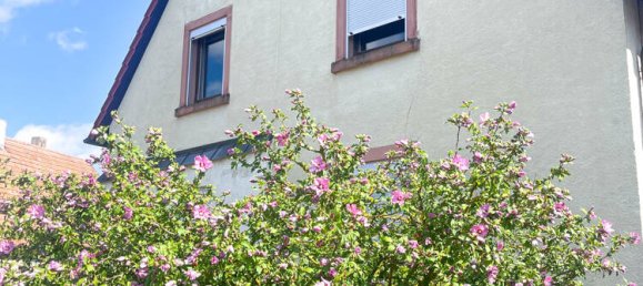 Дом с 4 спальнями в Баден-Вюртемберг, Германия № 226328 4