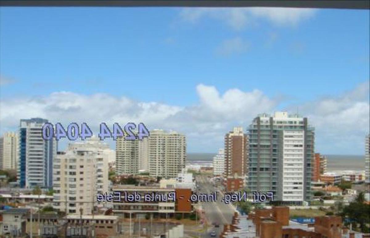 2 غرف نوم شقة في Punta del Este, Uruguay رقم 4831