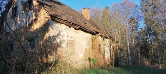 Land in Leibnitz, Austria No. 163022 4