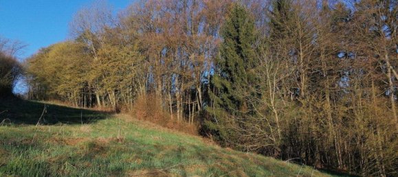 Land in Leibnitz, Austria No. 163022 2