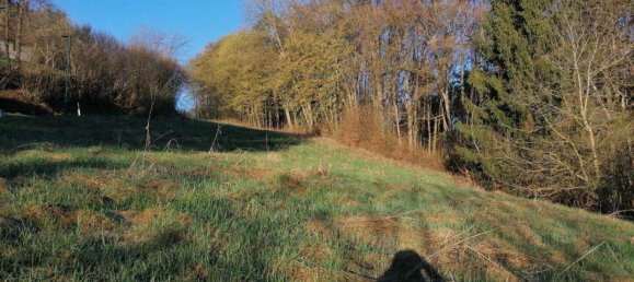 Land in Leibnitz, Austria No. 163022 7