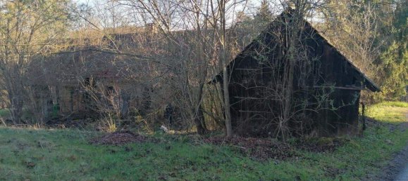 Land in Leibnitz, Austria No. 163022 8