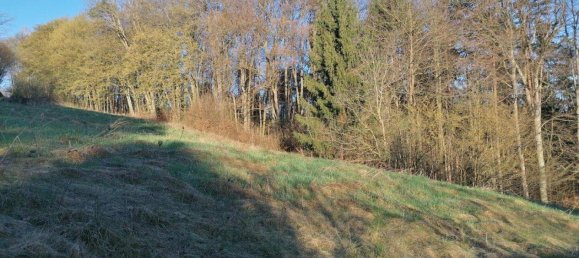 Land in Leibnitz, Austria No. 163022 6