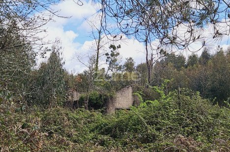 6 chambres Maison à Serta, Portugal No. 150413