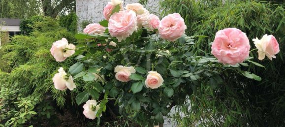 4 bedrooms Apartment in Oberhavel, Germany No. 90156 22