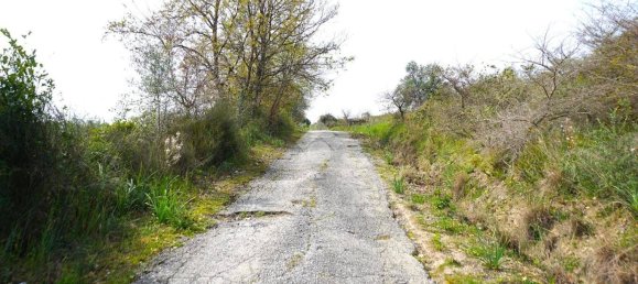 Земельный участок 30000м² в Монтекорвино Пульяно, Италия № 232912 3