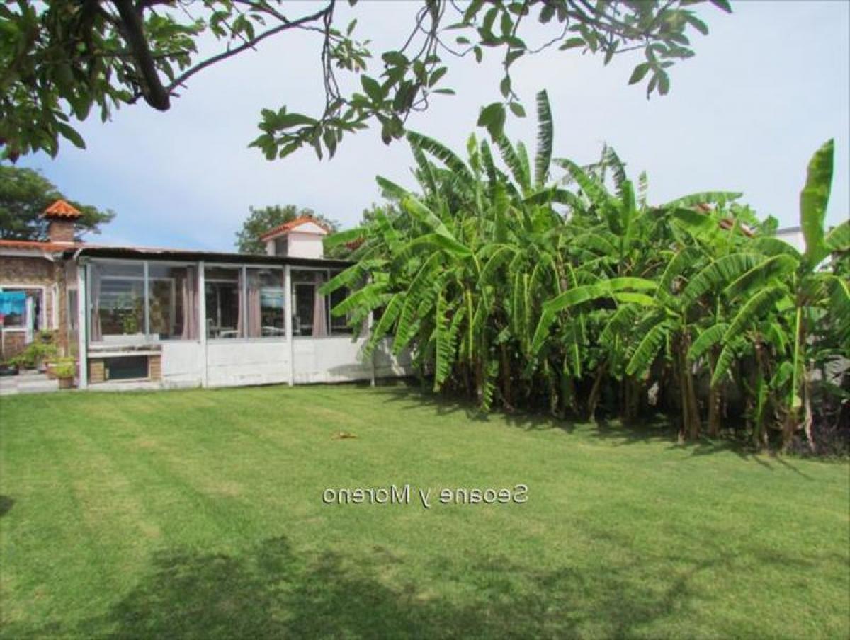 3 bedrooms House in Montevideo, Uruguay No. 6349