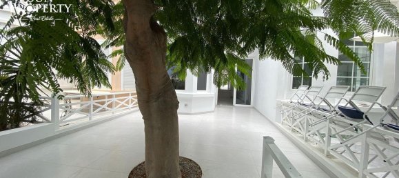 3 chambres Villa à Adeje, Spain No. 124980 14