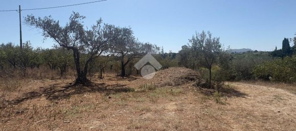 2 chambres Villa à Partinico, Italy No. 347380 14