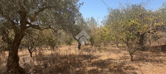 2 chambres Villa à Partinico, Italy No. 347380 11