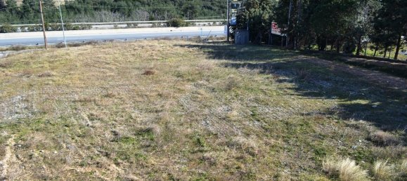 1800m² Property in Thessaloniki, Greece No. 7439 11