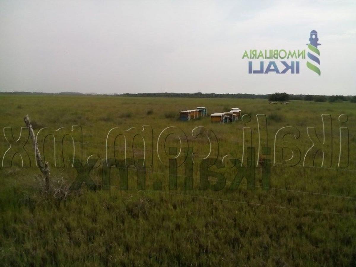 Grundstück in Veracruz, Mexico, Nr. 204494