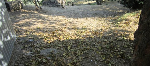 Casa de 4 dormitorios en Schiavi di Abruzzo, Italy No. 85418 18