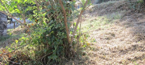 Casa de 4 dormitorios en Schiavi di Abruzzo, Italy No. 85418 11