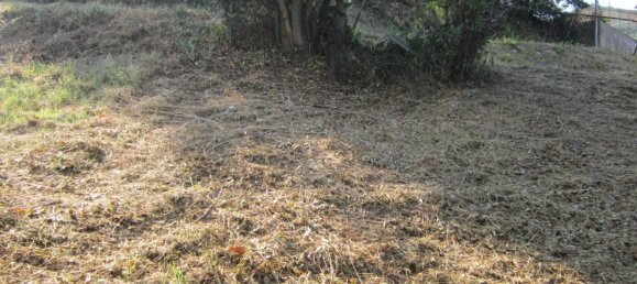 Casa de 4 dormitorios en Schiavi di Abruzzo, Italy No. 85418 12