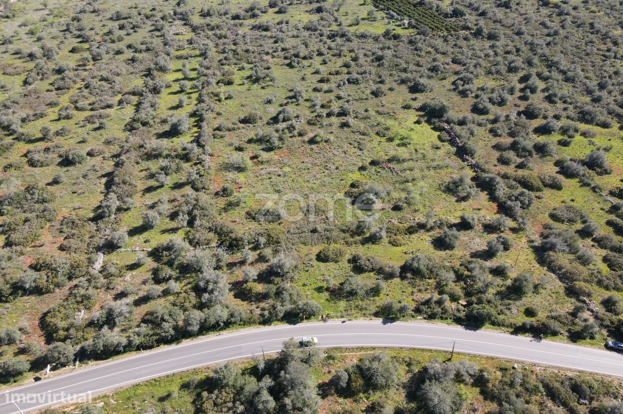  قطعة أرض في Sao Bartolomeu de Messines, Portugal 23960متر مربع رقم 69492