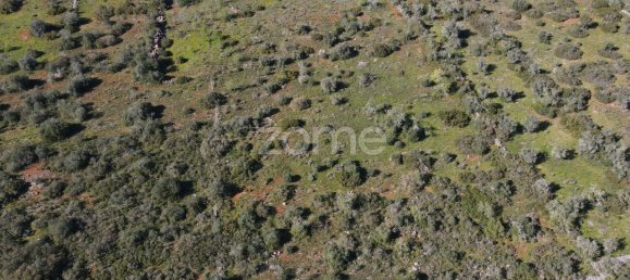  قطعة أرض في Sao Bartolomeu de Messines, Portugal 23960متر مربع رقم 69492 4