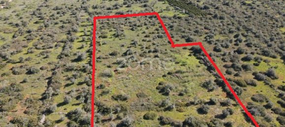  قطعة أرض في Sao Bartolomeu de Messines, Portugal 23960متر مربع رقم 69492 2