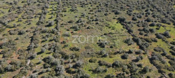  قطعة أرض في Sao Bartolomeu de Messines, Portugal 23960متر مربع رقم 69492 10