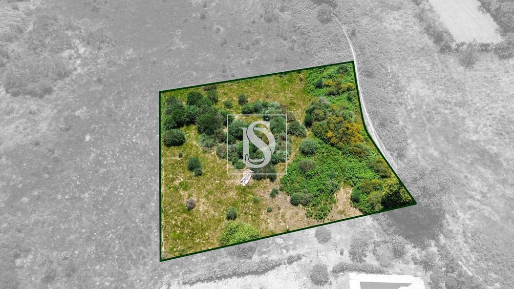 3000m² Land in Soalhaes, Portugal No. 206870