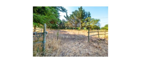 6 Schlafzimmer Villa in Obidos, Portugal, Nr. 291436 6