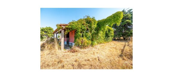 6 Schlafzimmer Villa in Obidos, Portugal, Nr. 291436 4