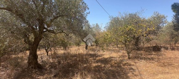 Вилла с 2 спальнями в Партинико, Италия № 335145 11