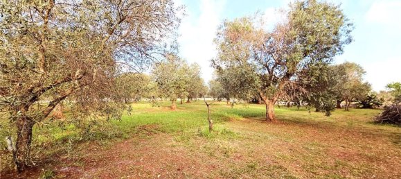 10000m² Land in Carovigno, Italy No. 140629 4