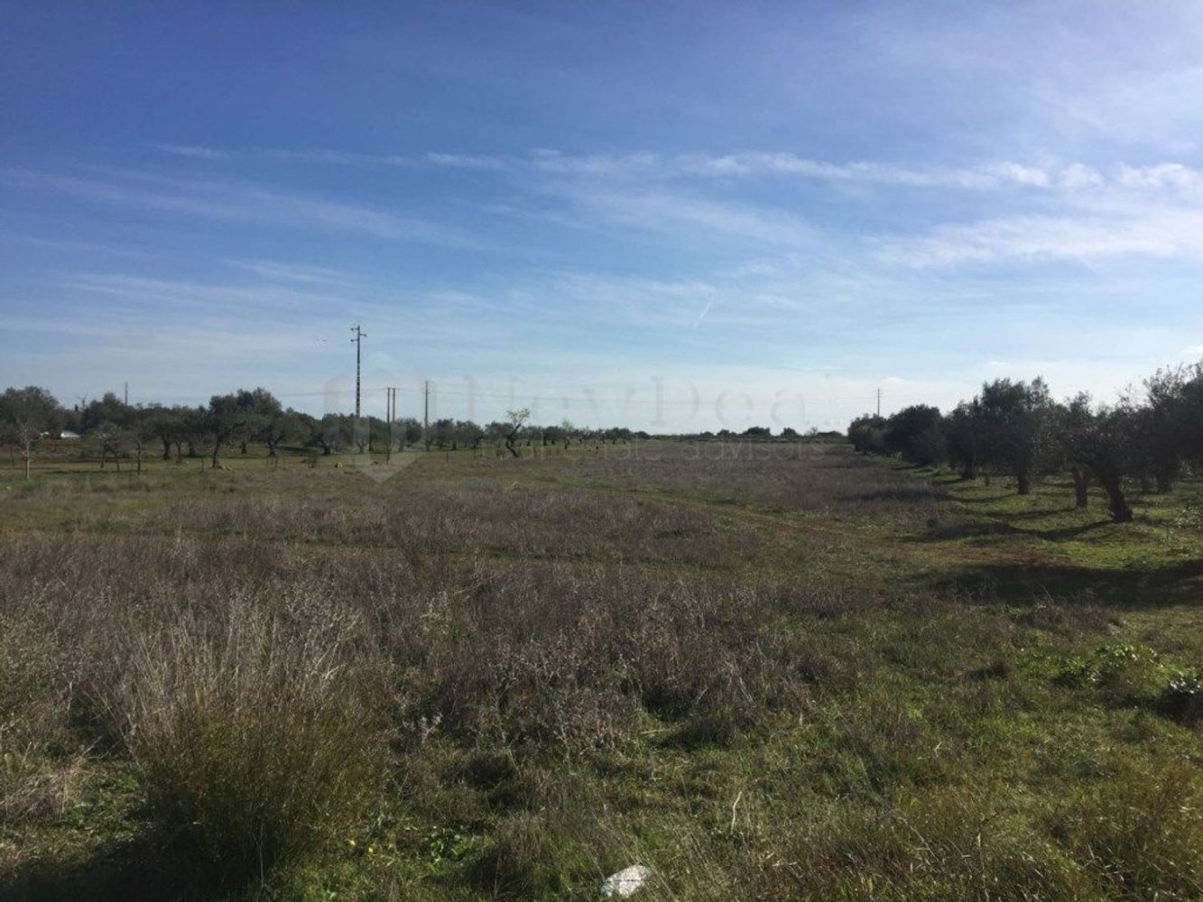 8000m² Land in Torres Novas, Portugal No. 75708