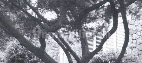 6 Schlafzimmer Villa in Olbia, Italy, Nr. 379886 24