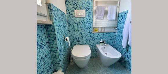 2 rooms Villa in Forte dei Marmi, Italy No. 309983 32