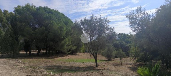 5غرفة منزل في Alghero, Italy رقم 128692 11