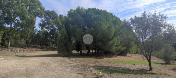 5غرفة منزل في Alghero, Italy رقم 128692 10