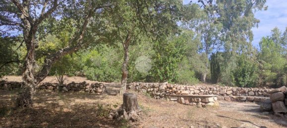 5غرفة منزل في Alghero, Italy رقم 128692 12