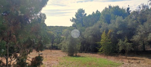 5غرفة منزل في Alghero, Italy رقم 128692 9