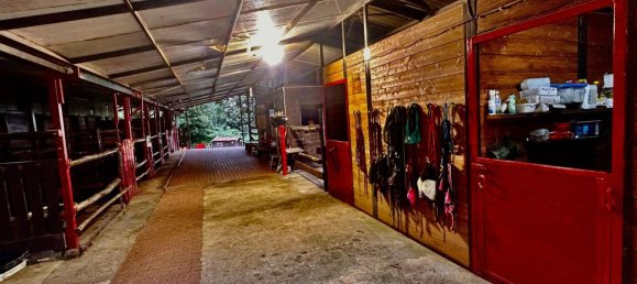 11 bedrooms Villa in Brosso, Italy No. 370867 5