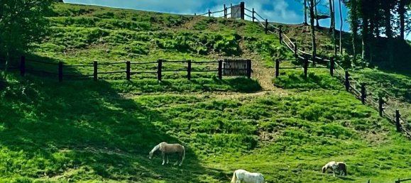 11 bedrooms Villa in Brosso, Italy No. 370867 4