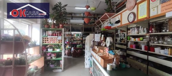 Коммерческая недвижимость 97м² в Гориция, Италия № 331340 6