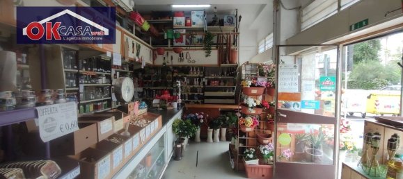 Коммерческая недвижимость 97м² в Гориция, Италия № 331340 5