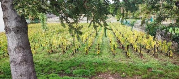 Дом с 3 спальнями в Бон, Франция № 282847 7