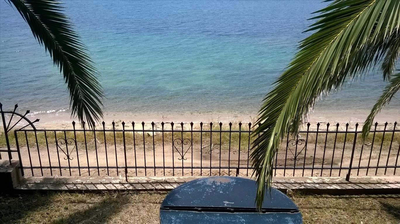 Вилла 400м² в Халкидики, Греция № 4123