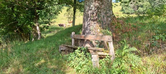 Дом с 1 спальней в Пилонья, Испания № 179700 13