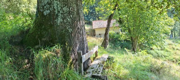 Дом с 1 спальней в Пилонья, Испания № 179700 15