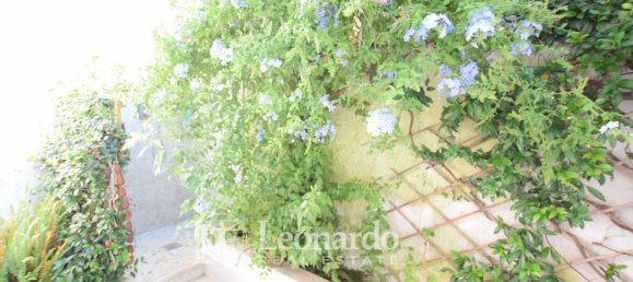 3 bedrooms Apartment in Viareggio, Italy No. 42900 31